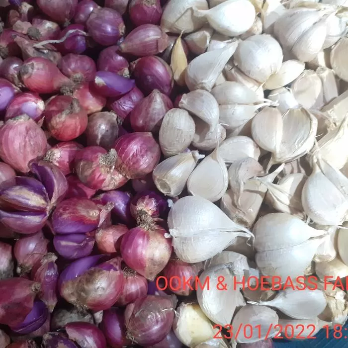 Bawang merah dan putih campur